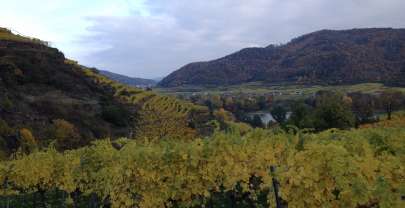 Herbstimpressionen