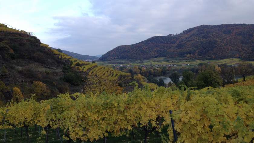 Herbstimpressionen