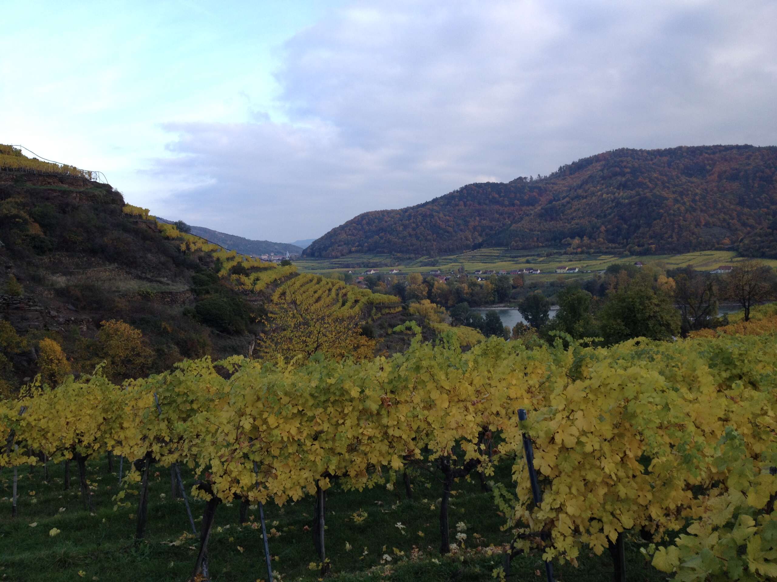 Herbstimpressionen