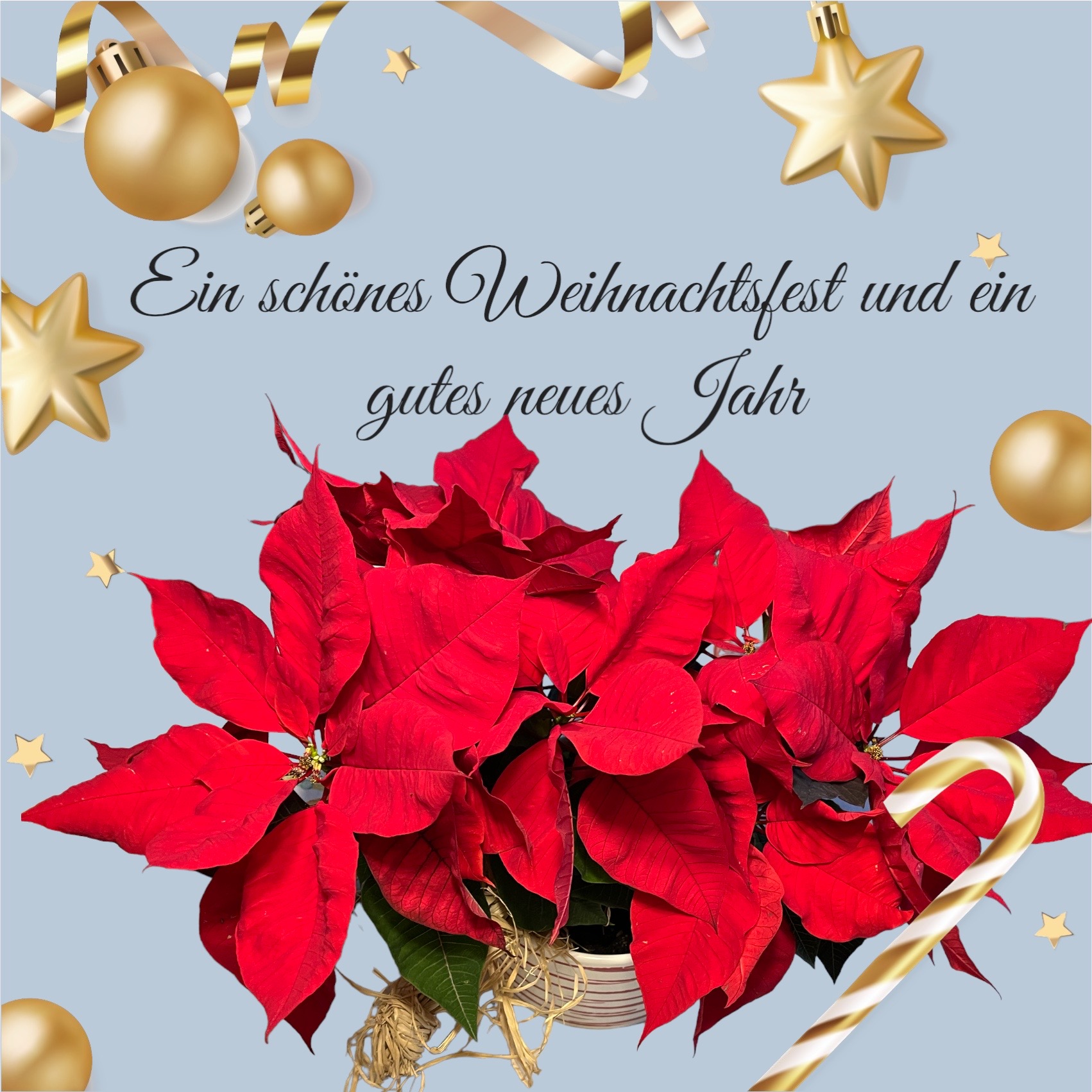 Ein schönes Weihnachtsfest