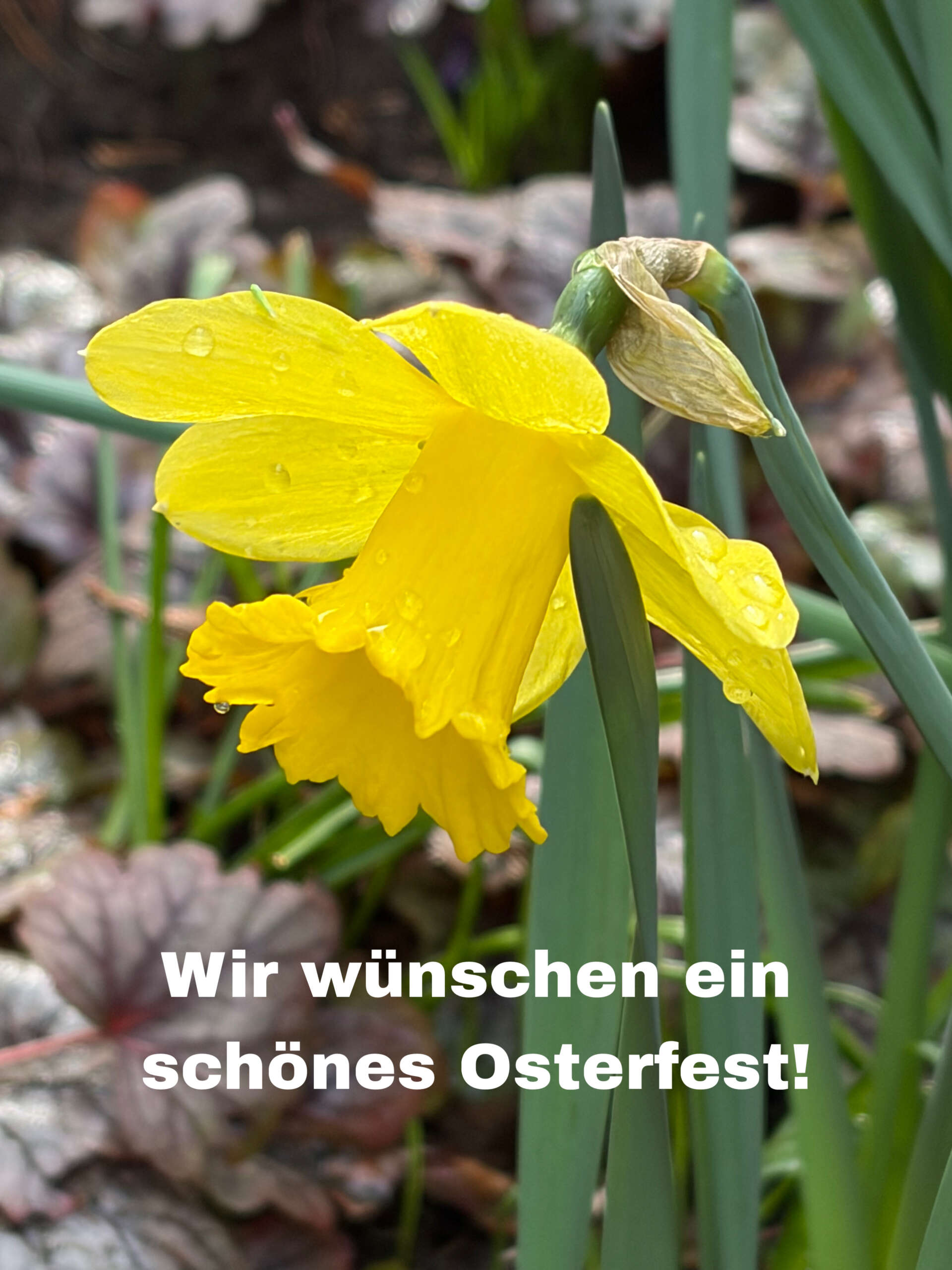 Ostern…